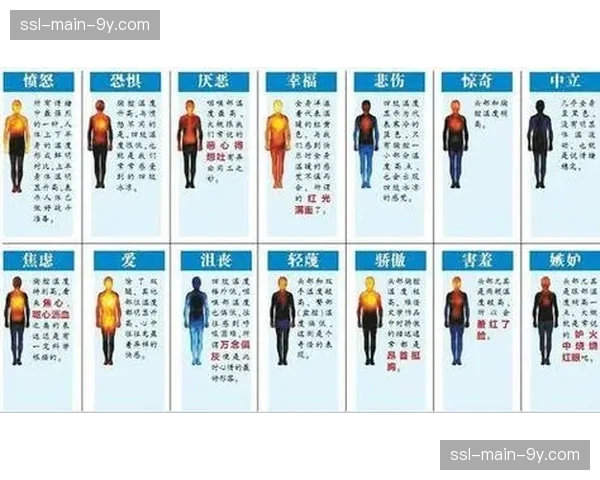 总决赛首次启用观众情绪热力图分析，实时展示主场球迷声压与表情变化